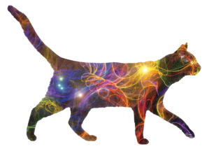 just_cat_more_space